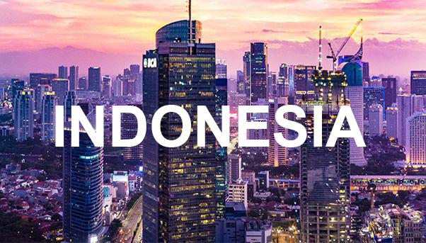 indonesia-new-capital INDONESIA